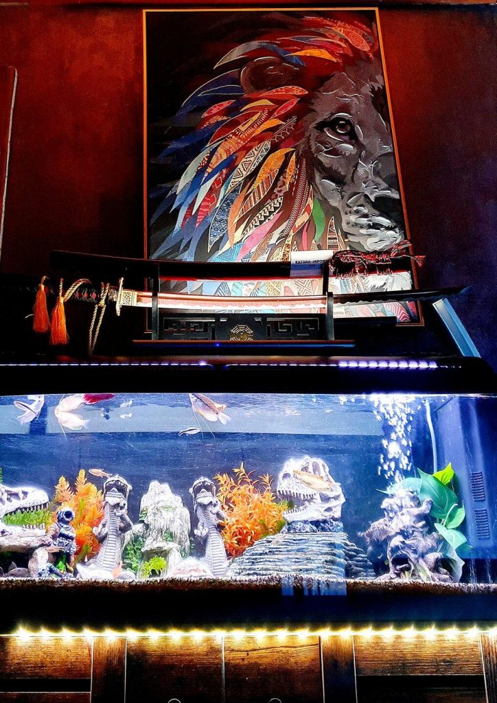 Afbeelding #1 van Tom Vermeulen