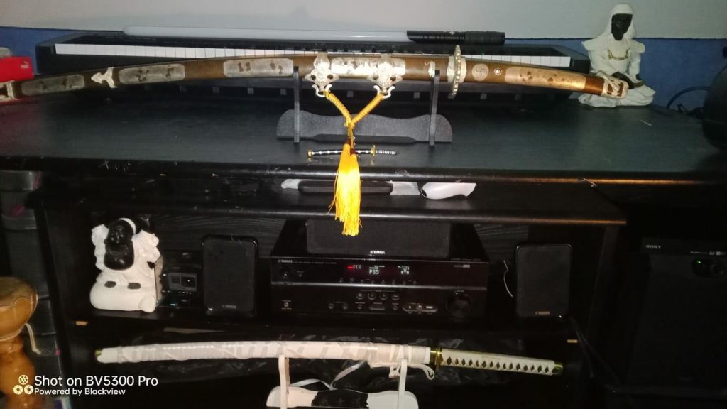 Afbeelding #1 van Zane van der Velde